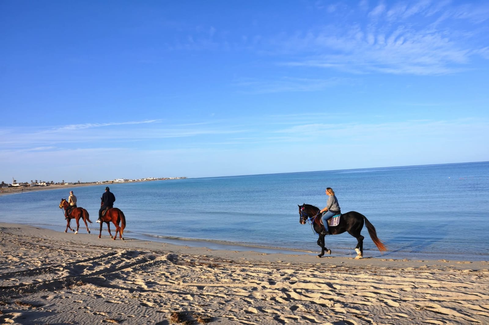 Balade à Cheval & Chameau - photo 20